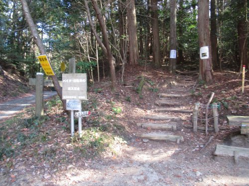 登山道